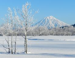 Koryaksky Volcano Kamchatka Winter