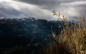 Hagenbutte View Cloudiness