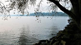 Morning Lake Beach