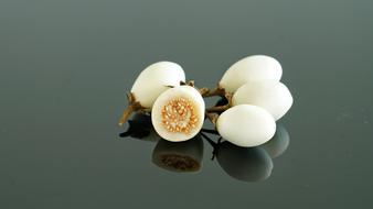 little white vegetable