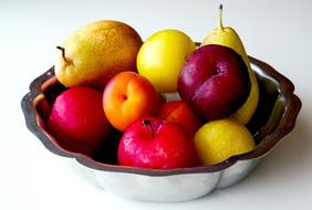 still life of fruit