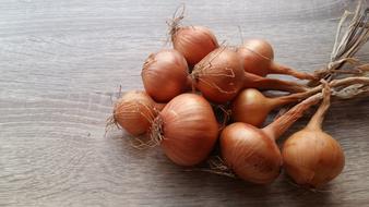 bundle of onions