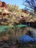 Fern Pool In Western Australia