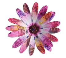 Flower Petals Leaves Wild