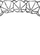 floral border border frame design