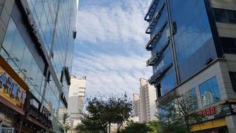 City Sky
