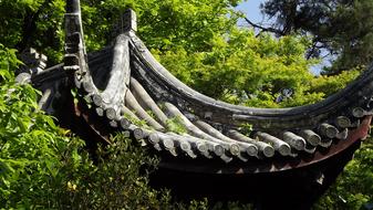 Nature Tree Park At The Court