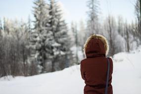 girl in the snowy mountains of slovakia on a blurry background