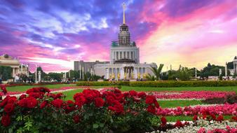 Architecture Sky Flower