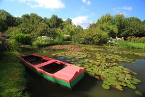 Pond Water Lilies Flower Aquatic