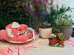 Decoration Garden Zen