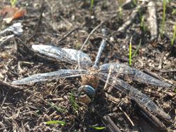 Nature Outdoors Wood