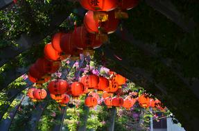 Chinese Lanterns Buddha Festival