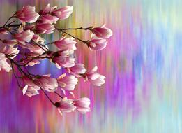 Magnolia Spring Nature