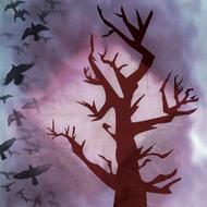 tree crows murder of crows flock