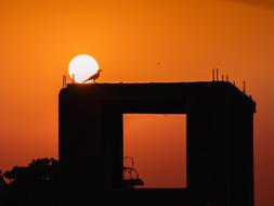 Sunset Orange Sky