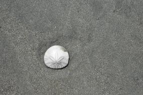 Desktop Sand Beach