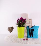 Plants Flowerpots Green