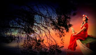 Sunset Dusk Tree