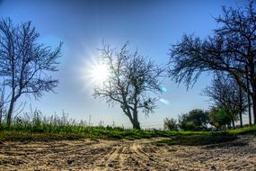 Sun Sunbeam Backlighting
