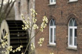 House Window Architecture