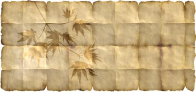 paper parchment maple plant frame