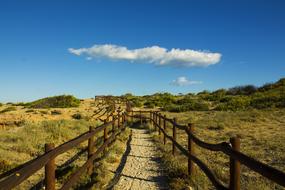 Cloud Path Sky