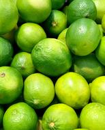 sour limes harvest