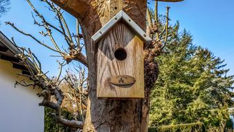 Tree Bird Feeder Wood