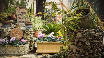 Israel Israeli Joppa