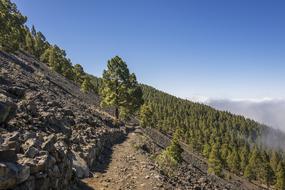 Volcano Canary Islands Volcanic