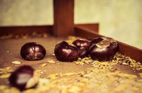 Autumn Beginning Chestnut Brown