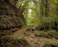 Excursion Forest Val Borago