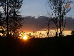 Sunset Woods Nature