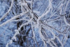 Japan Natural Landscape