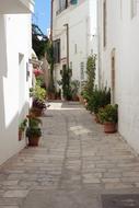 Italy Puglia Glimpse
