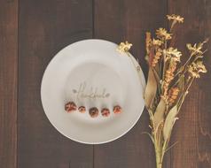 Thanksgiving Nature From Above