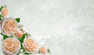 Greeting Card Flower Wedding