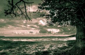 Black And White Beach Sea
