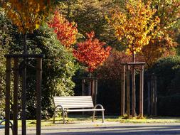 Autumn October Golden