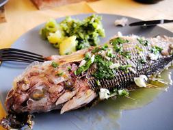 juicy boiled fish