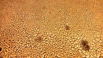 Dry Desert Nature