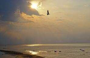 Sunset Beach