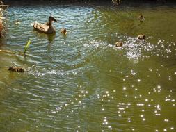 Light Reflections Water Mirroring