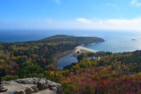 Mountain Trees Nature