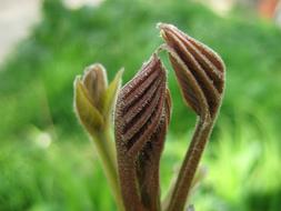 No One Nature Outdoors