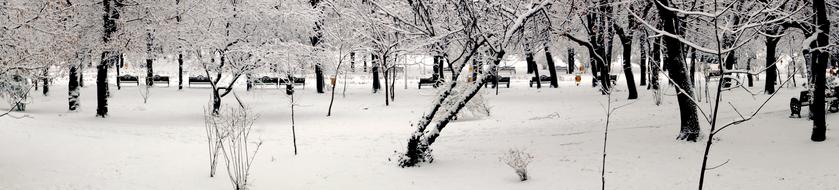 Panorama Winter Park