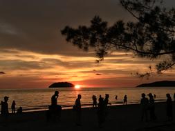 Sunset silhouettes view