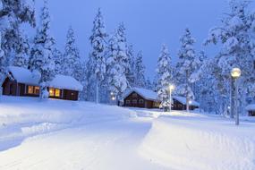 Lapland Winter Snow