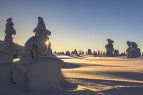 Lapland Winter Snow